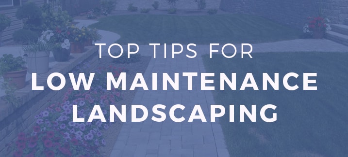 Top Tips for Low maintenance Landscaping