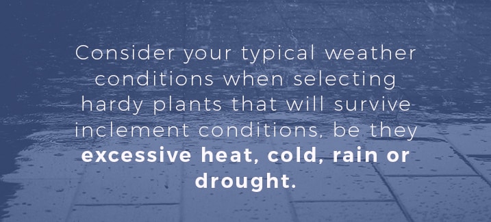 Consider your typical weather conditions when selecting plants for your home.